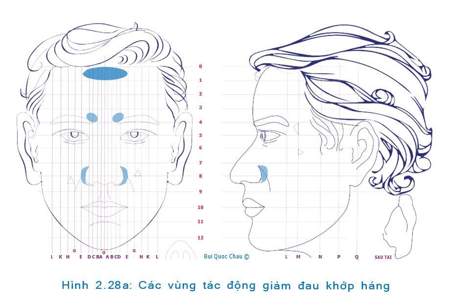 dau-khop-hang-dien-chan
