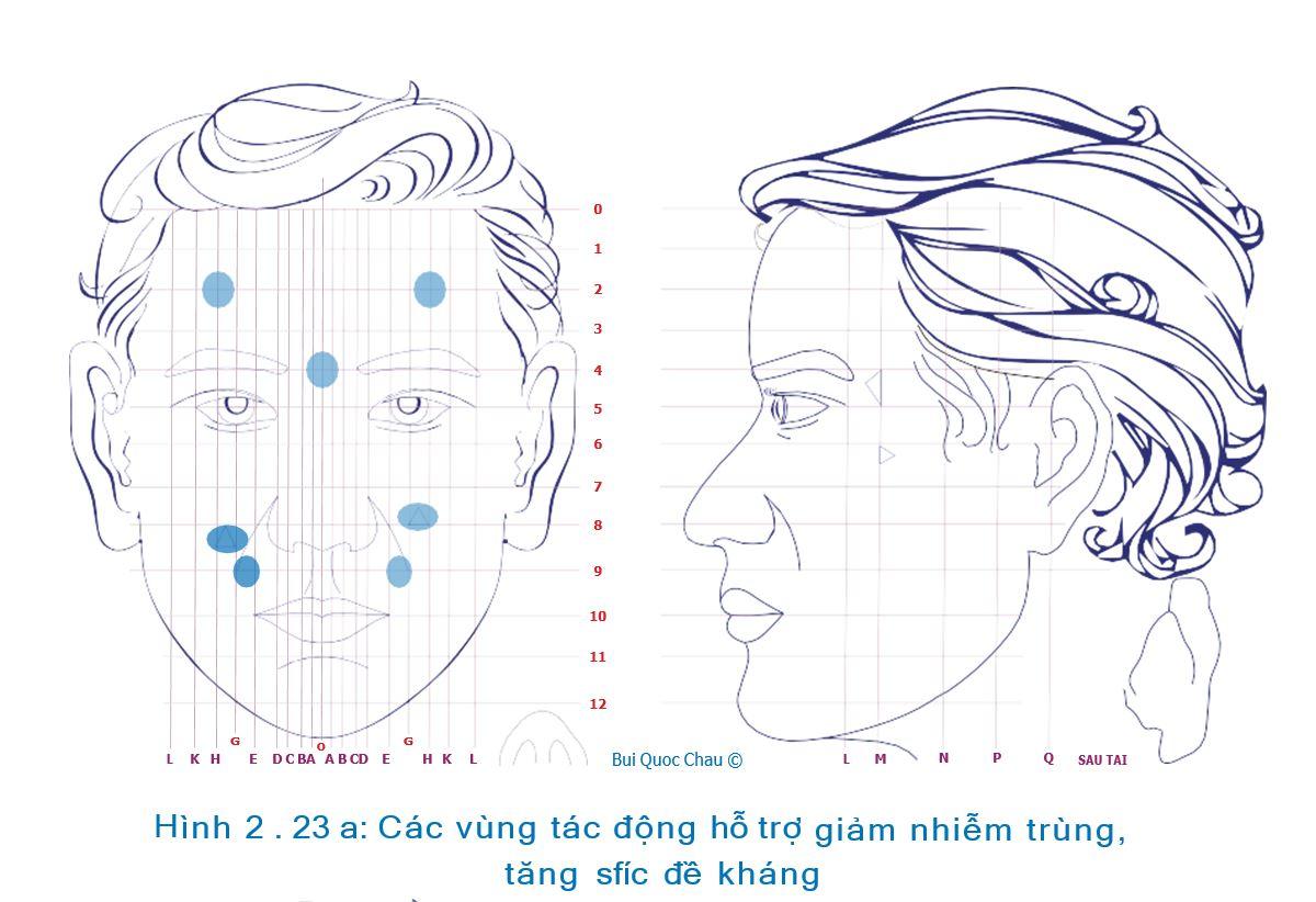 giam-nhiem-trung-dien-chan